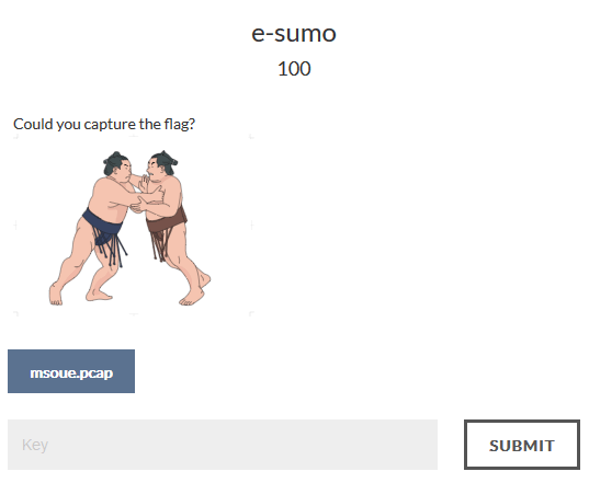 e-sumo